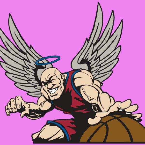 AR17 ANGEL BSKT 04 RQC Thumbnail