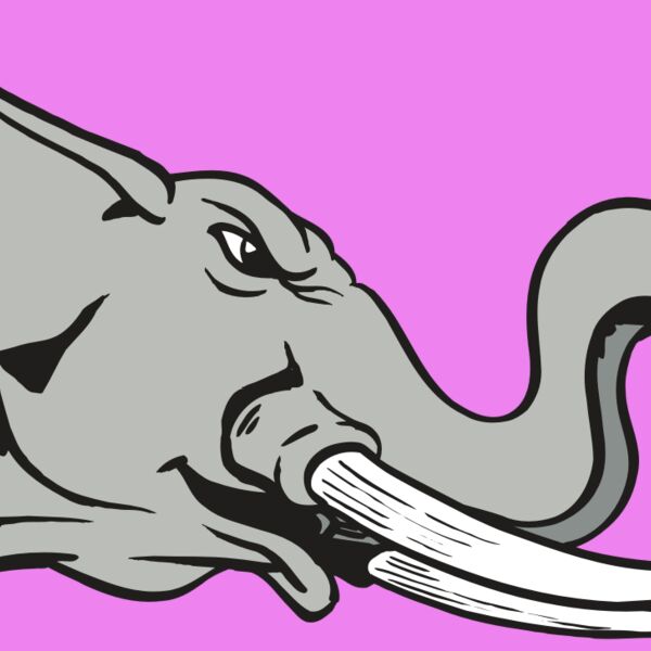 AR ELEPH 16 RC Thumbnail