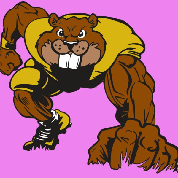 AR14 BEAVER FBLL 03 RQC Thumbnail