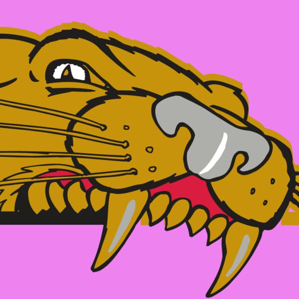 AR COUGAR 73 RC Thumbnail