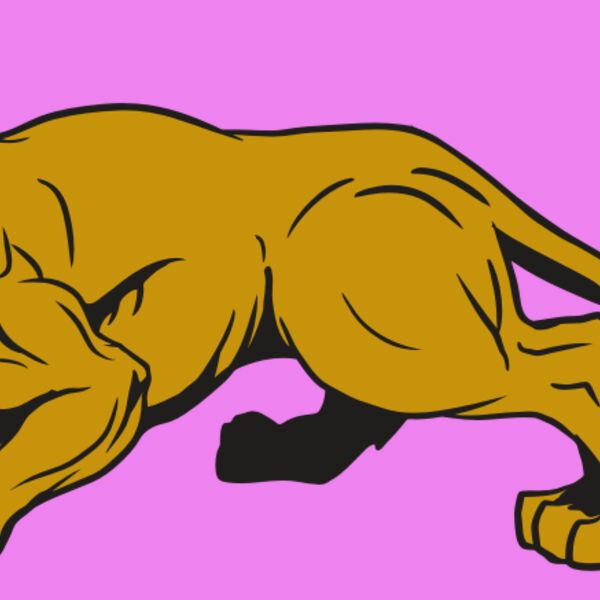 AR10 PAN COU 01 RQC Thumbnail