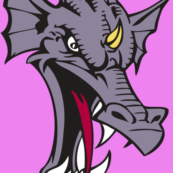 BAW DRAGON 05 RC Thumbnail