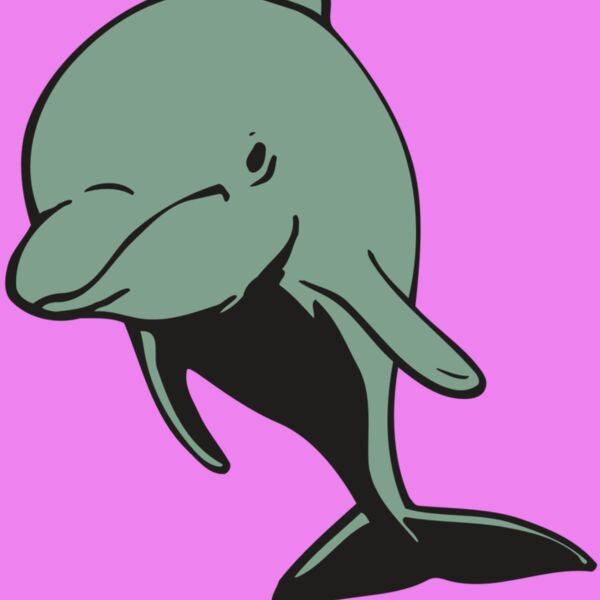 AR DOLPIN 11 RC Thumbnail