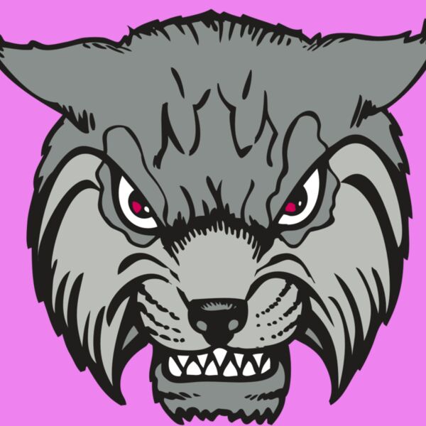 BAW BOBCAT 02 RC Thumbnail