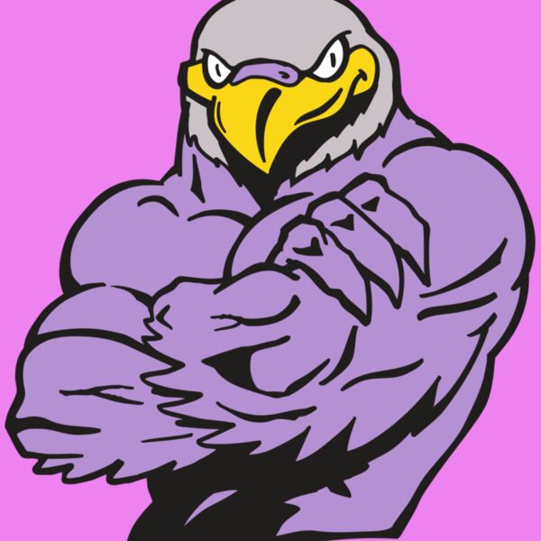 AR FALCON 32 RC Thumbnail
