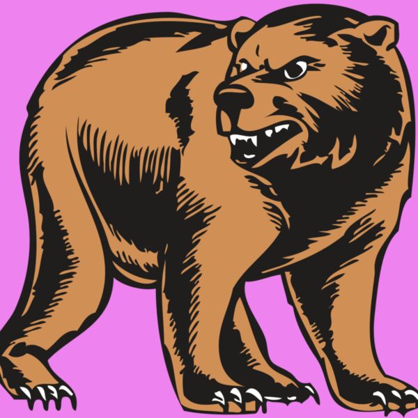 BAW BEAR 09 RC Thumbnail