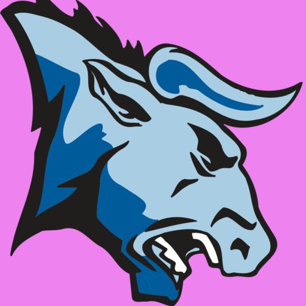 AR BULL 20 RC Thumbnail