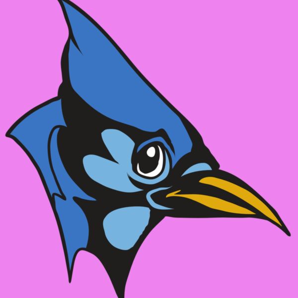 AR31 BLUEJAY 03 RQC Thumbnail