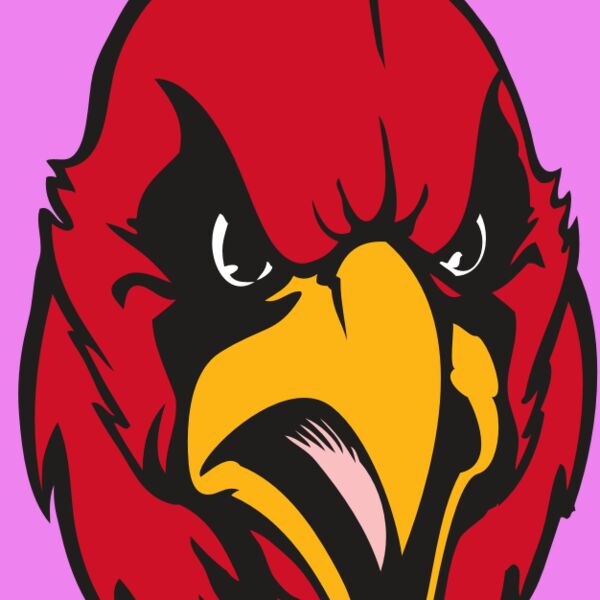 BAW CARDINAL 11 RC Thumbnail