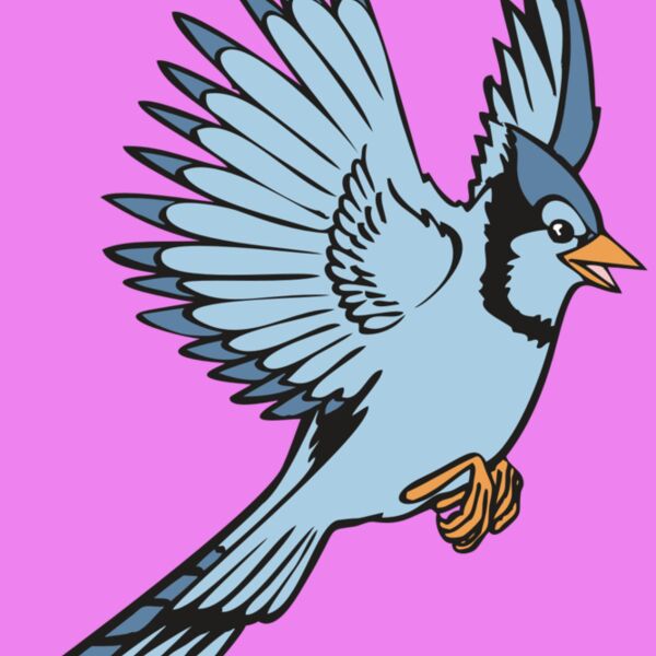 BAW BLUEJAY 12 RC Thumbnail