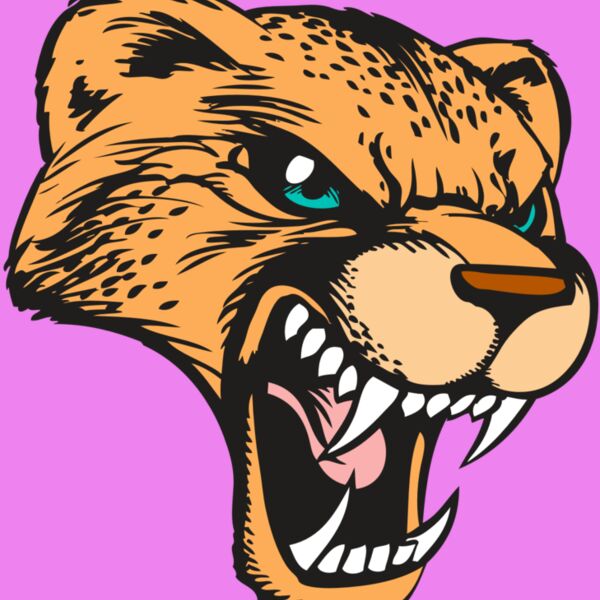 BAW CHEETAH 19 RC Thumbnail