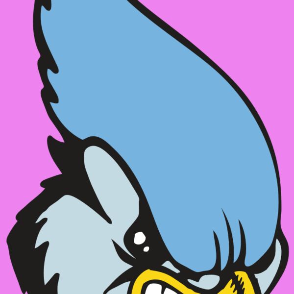 BAW BLUEJAY 05 RC Thumbnail