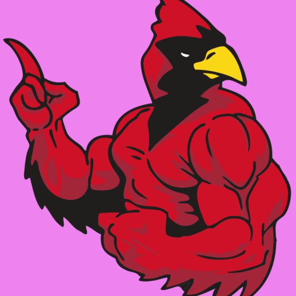 AR CARDINAL 28 RC Thumbnail