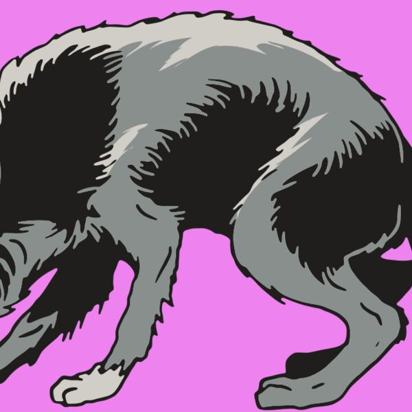 AR32 COYOTE 05 RQC Thumbnail