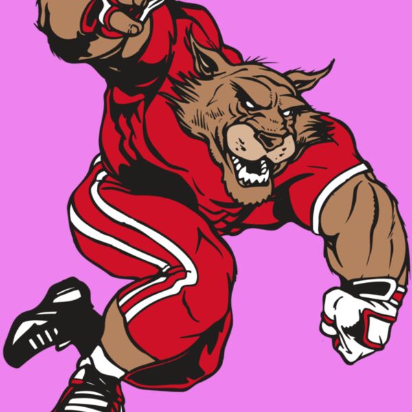 AR WILDCAT 32 RC Thumbnail