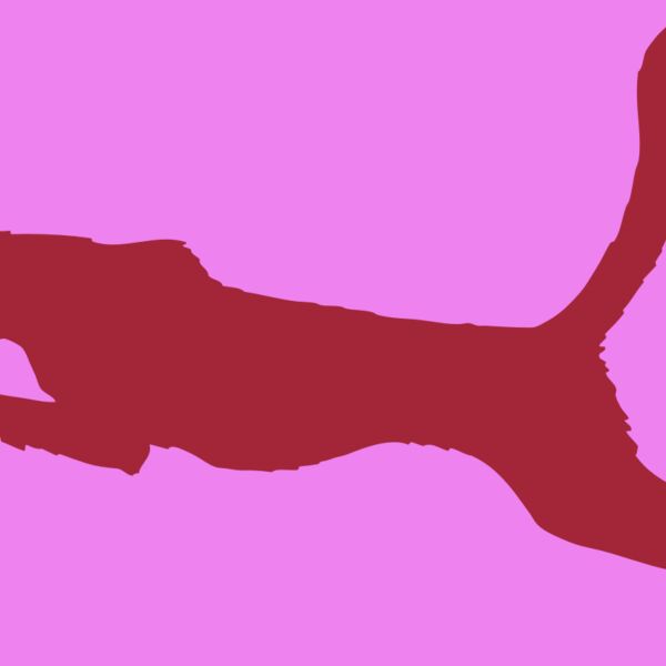 AR CHEETAH 11 RC Thumbnail