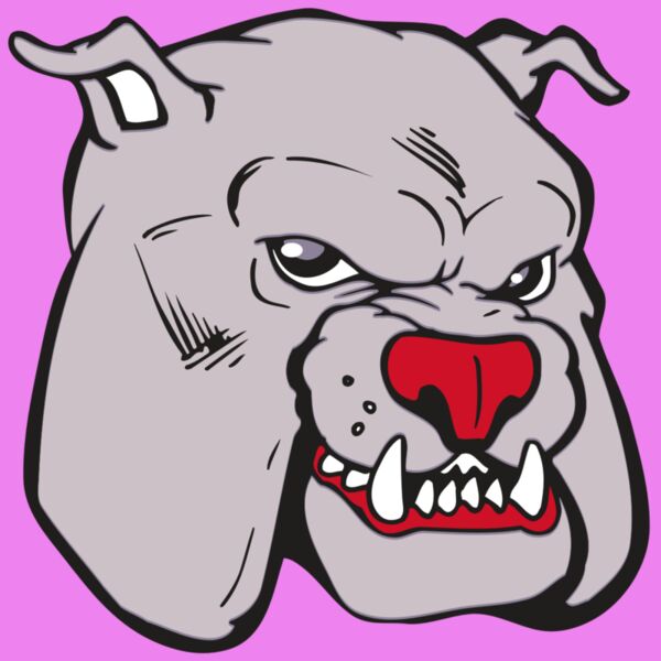 AR BDOG 11 RC Thumbnail