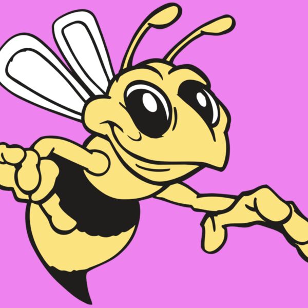 AR BEE 35 RC Thumbnail