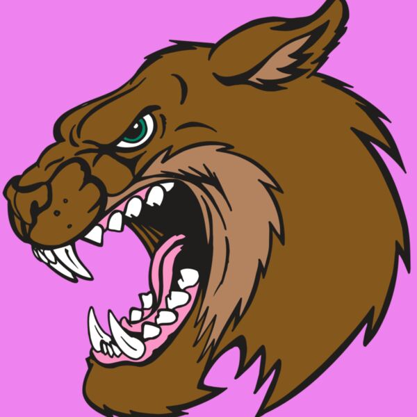 AR5 BOBCAT 18 RQC Thumbnail