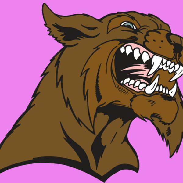 AR5 BOBCAT 21 RQC Thumbnail