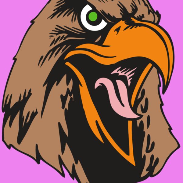 BAW HWK FLCN 01 RC Thumbnail