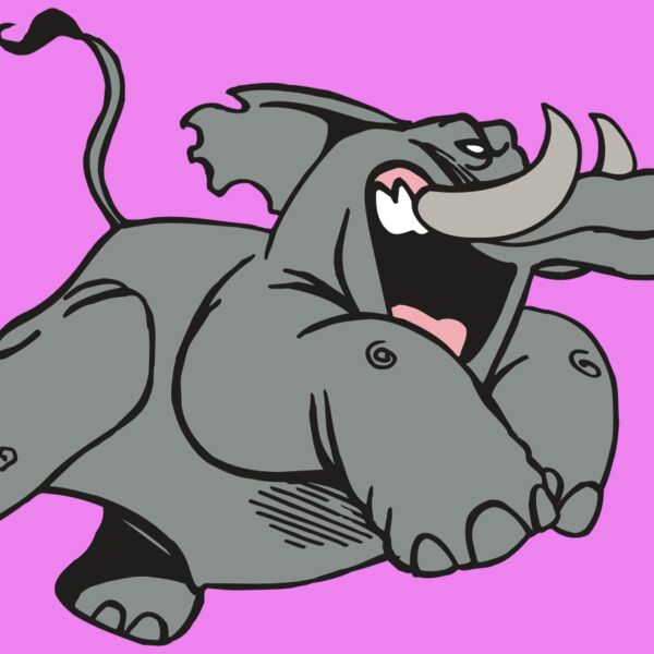 AR5 Elephant 07 RQC Thumbnail