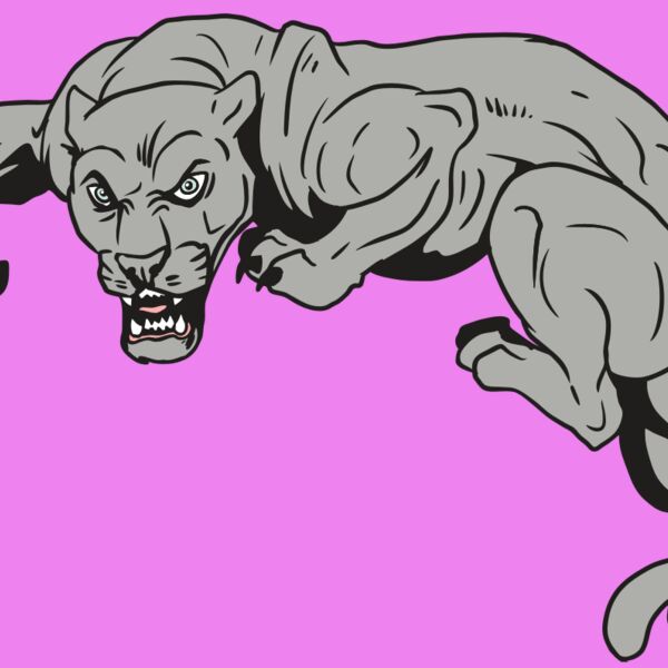 AR10 PANTHER 02 RQC Thumbnail