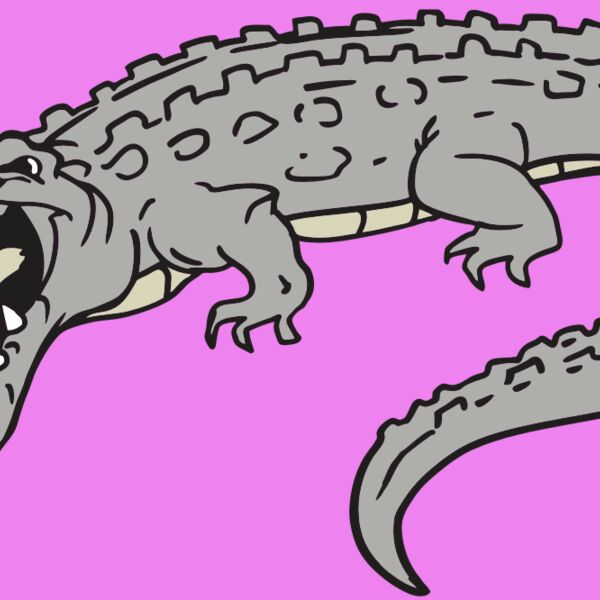 AR GATOR 53 RQC Thumbnail