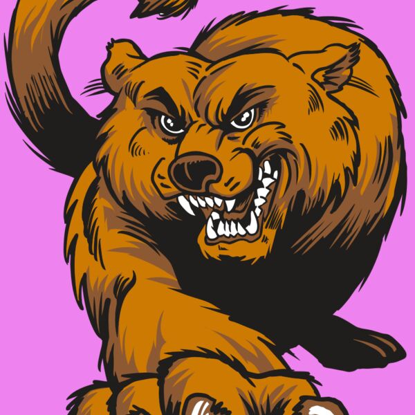 AR22 BEARCAT 05 RQC Thumbnail