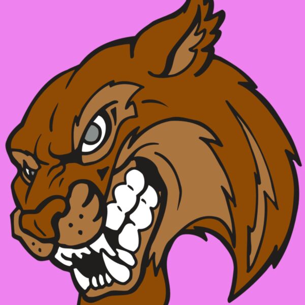 AR5 BOBCAT 07 RQC Thumbnail