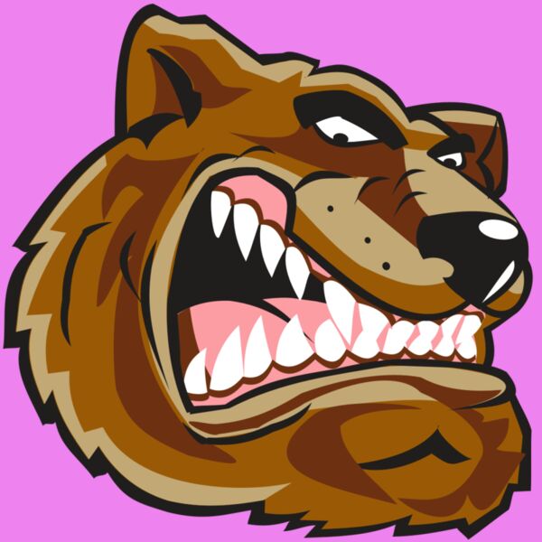 BEAR HD0502 RQC Thumbnail