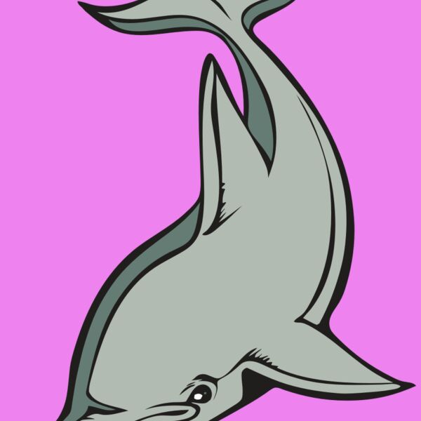 BAW DOLPHIN 01 RC Thumbnail