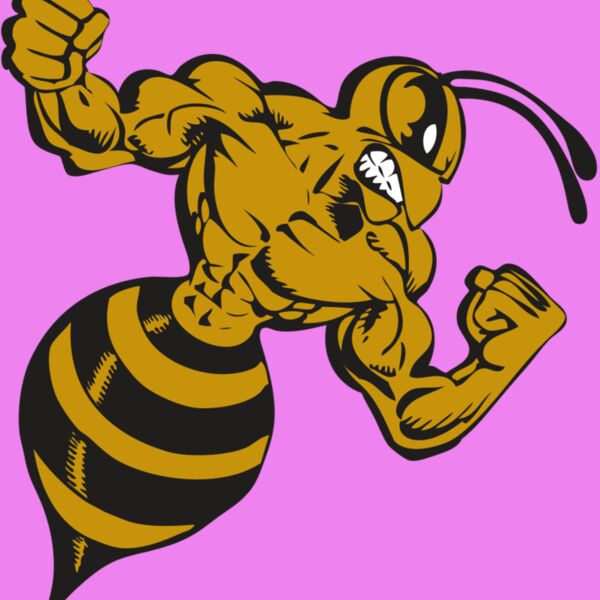 BAW BEE 01 RC Thumbnail