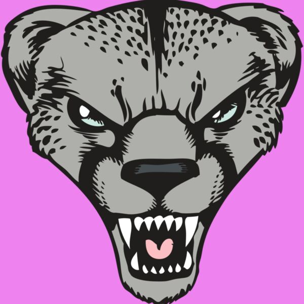 BAW CHEETAH 15 RC Thumbnail