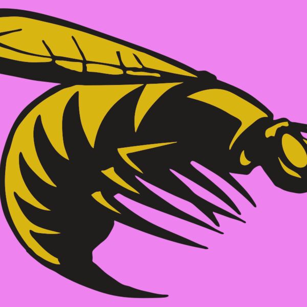 AR BEE 49 RC Thumbnail