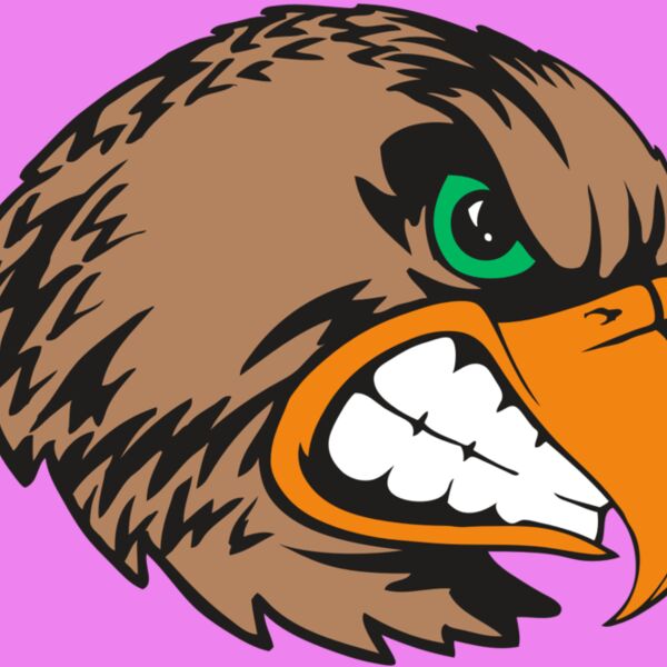 BAW HWK FLCN 09 RC Thumbnail