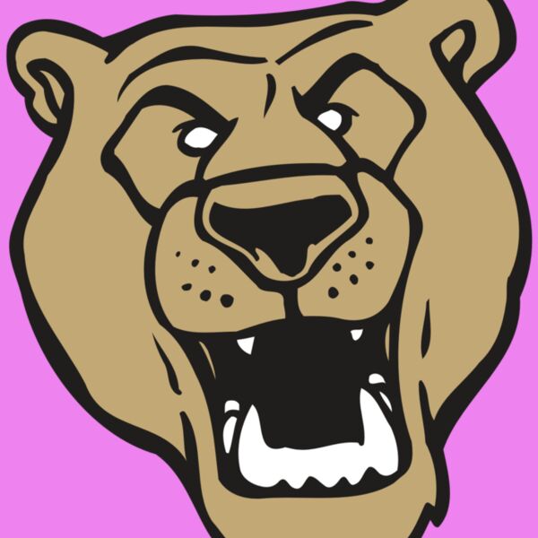 AR BEAR 13 RC Thumbnail