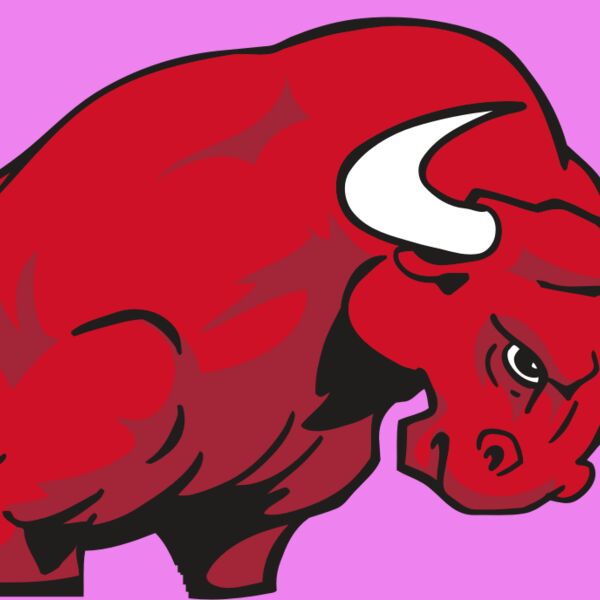 AR BULL 12 RC Thumbnail