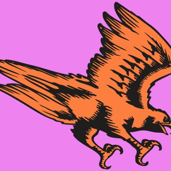 BAW HWK FLCN 04 RC Thumbnail