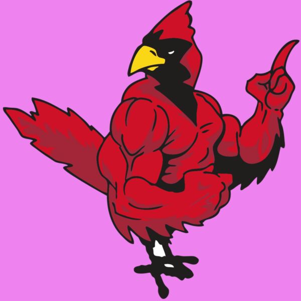 AR CARDINAL 27 RC Thumbnail