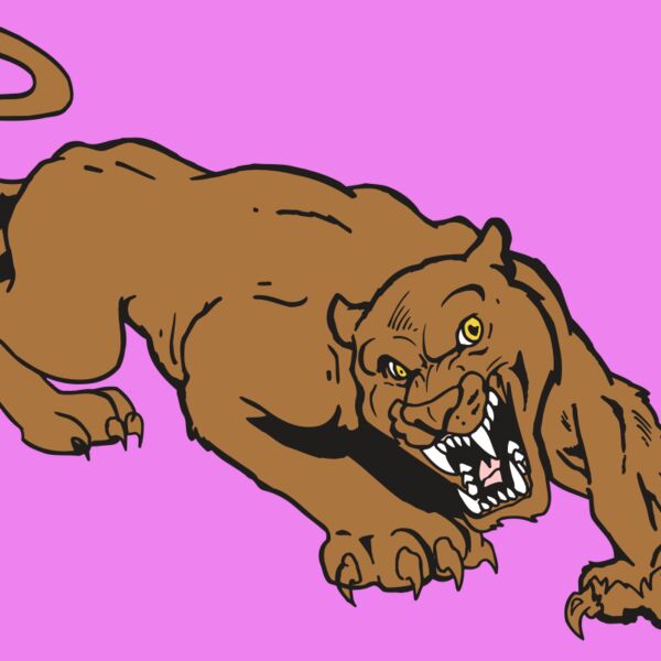 AR5 COUGAR 41 RQC Thumbnail