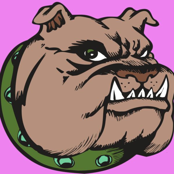 BAW BULLDOG 14 RC Thumbnail