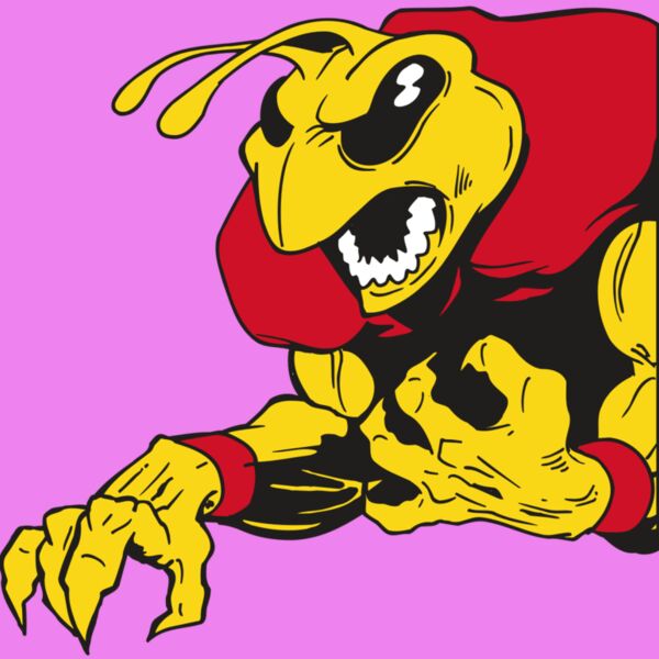 AR5 BEE 28 RQC Thumbnail