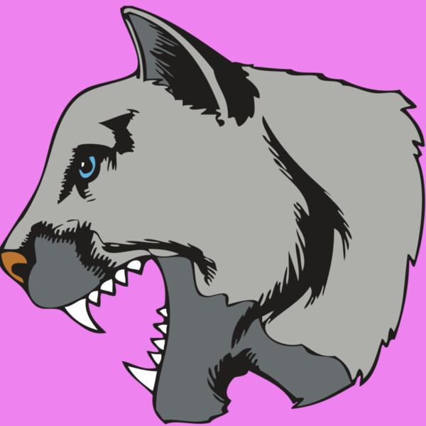 BAW COUG PANTH 15 R Thumbnail