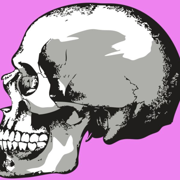 AR24 SKULL 02 RQC Thumbnail