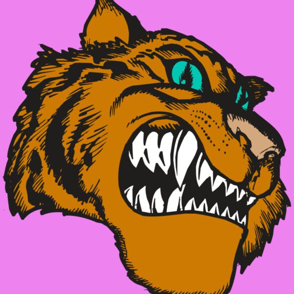 BAW TIGER 11 RC Thumbnail