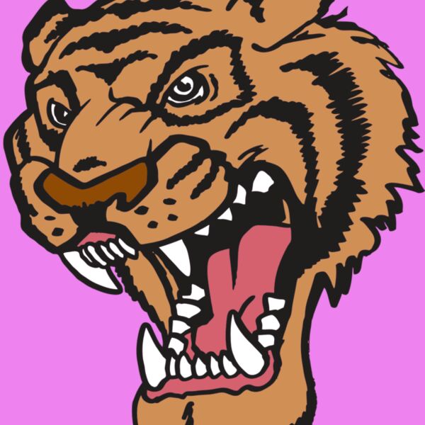 AR TIGER 12 RC Thumbnail