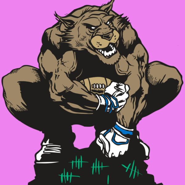 AR WILDCAT 34 RC Thumbnail
