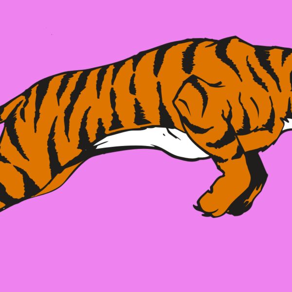 AR TIGER 79 RC Thumbnail