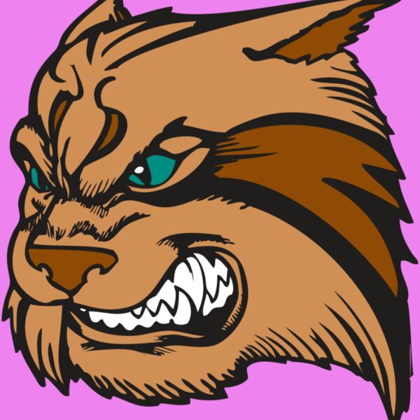 BAW WILDCAT 05 RC Thumbnail